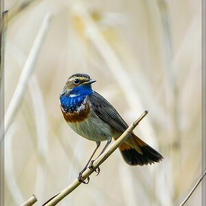 20140422 0323 [NIKON 1 V3] 600 mm,1 400 Sek. bei ƒ   4,0
