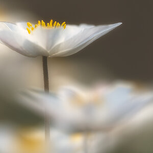 20140402 135701