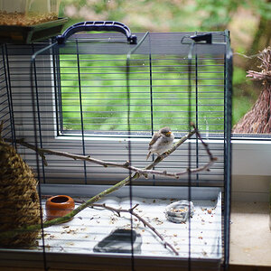 20140502 DSC00699