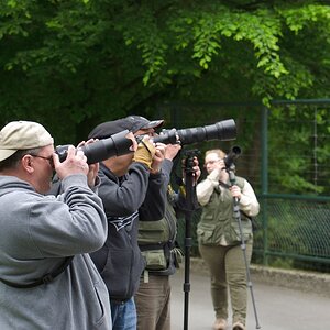 Fotografen in freier Wildbahn