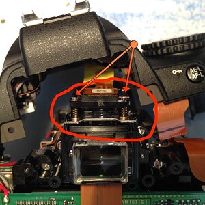 IMG 2670 2 Web
