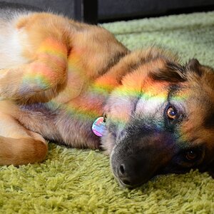 Trixie Rainbow