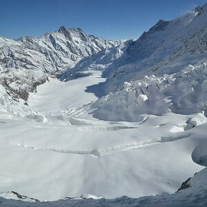 Eismeer mit Schreckhorn (4078m) und Lauteraarhorn (4042m)