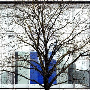 Kunsthalle Weisshaupt 1.OG