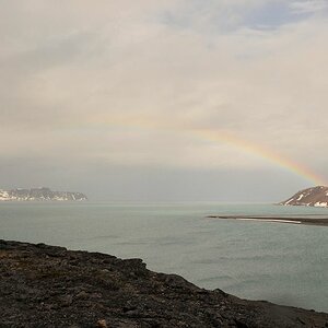 s1040 Regenbogen 8437
