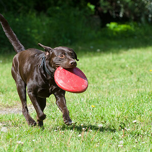 20140517 13 Penny15