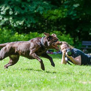 20140517 28 Penny33