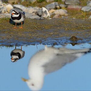 aacomp nabuwallnau 20140516 0206
