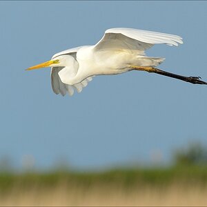 aacomp nabuwallnau 20140516 0137