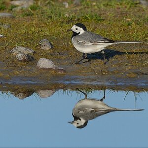 aacomp nabuwallnau 20140516 0046