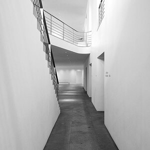 DSC02565
