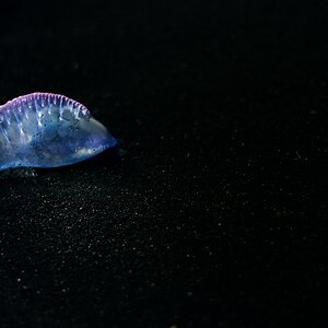 Colourkey II