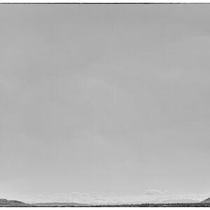 WildPZ1 9330