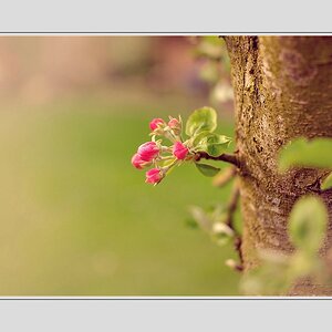 Compressed 0565