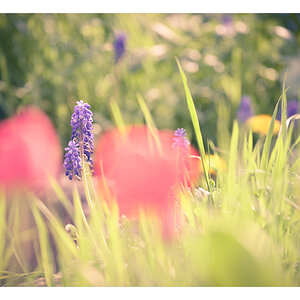 ostern