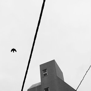 Tokyo 14 23 04 2014 1044348
