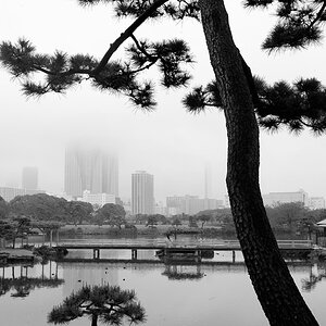 Tokyo 14 23 04 2014 1044545