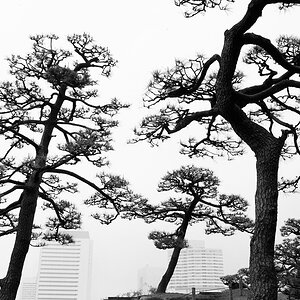 Tokyo 14 23 04 2014 1044617