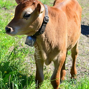 DSC 2451 01