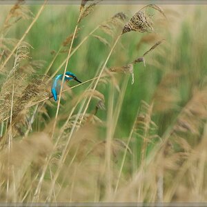 20140503 1907 [NIKON 1 V3] 400 mm,1 640 Sek. bei ƒ   5,6