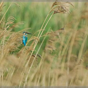 20140503 1913 [NIKON 1 V3] 400 mm,1 640 Sek. bei ƒ   5,6