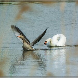 20140503 1786 [NIKON 1 V3] 250 mm,1 500 Sek. bei ƒ   5,6