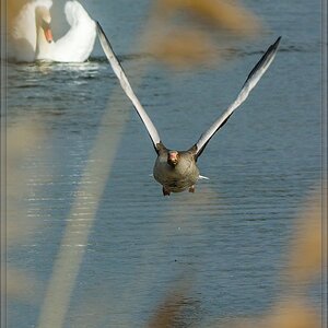 20140503 1847 [NIKON 1 V3] 250 mm,1 640 Sek. bei ƒ   5,6