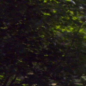 DSC 4067 LR 2 Ausschnitt Farbrauschen?