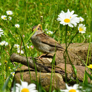 DSC 1559 khg