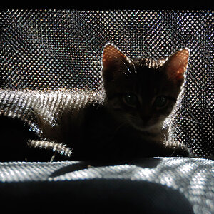 2012 09 30 9459  D300S A