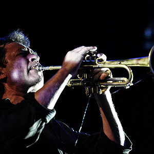 nils 004