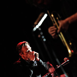 nils 007