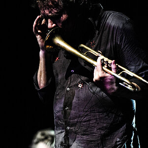 nils 008
