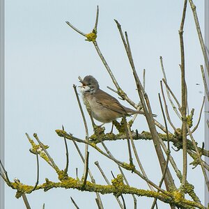 20140503 1936 [NIKON 1 V3] 400 mm,1 800 Sek. bei ƒ   5,6