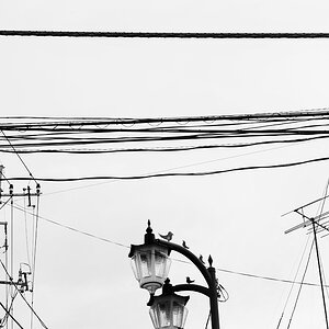 Tokyo 14 23 04 2014 1044280
