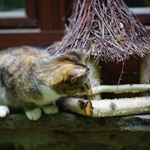 20140501 DSC00690
