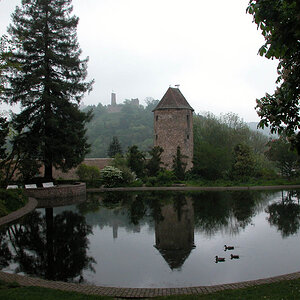 spiegelung blauer hut