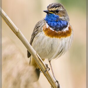 20140504 2237 [NIKON 1 V3] 600 mm,1 200 Sek. bei ƒ   4,0