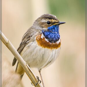 20140504 2254 [NIKON 1 V3] 600 mm,1 200 Sek. bei ƒ   4,0