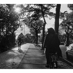 Bewegung12 06 nff