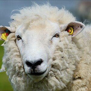 aacomp nabuwedel 20140518 0429