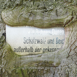 Schild im Baum