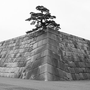 Tokyo 14 23 04 2014 1044959