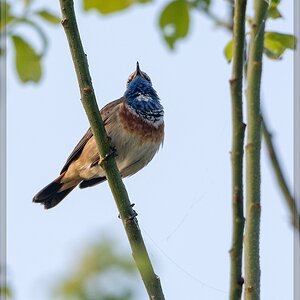 20140412 7032 [NIKON D7100] 600 mm,1 1000 Sek. bei ƒ   6,3