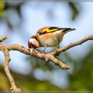 20140412 5454 [NIKON D4] 850 mm,1 800 Sek. bei ƒ   8,0