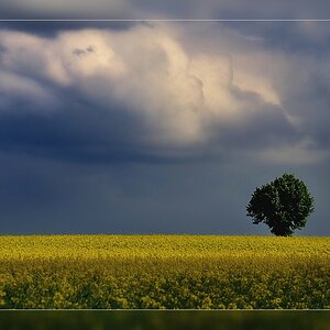 Compressed 0589