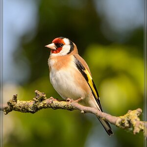 20140412 5438 [NIKON D4] 850 mm,1 1000 Sek. bei ƒ   8,0