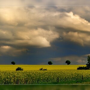 Compressed 0585