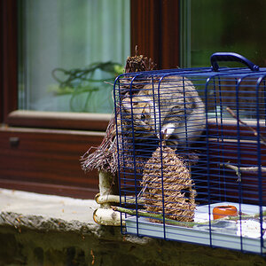 20140501 DSC00685