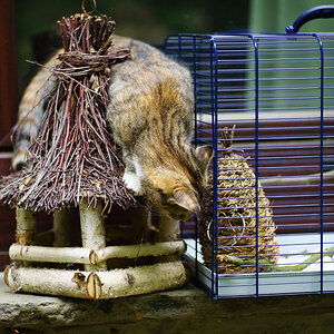20140501 DSC00686